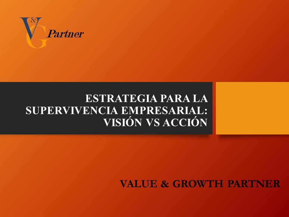 value-and-growth-partner